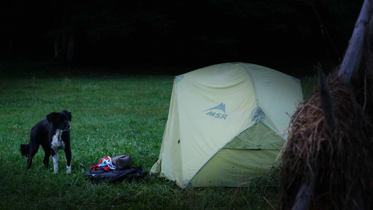 Graveltouren_zwischen_Chiemgau_Berchtesgadener_und_Salzburger_Land_mit_Hund_und_Anhnger_tour_15.jpg