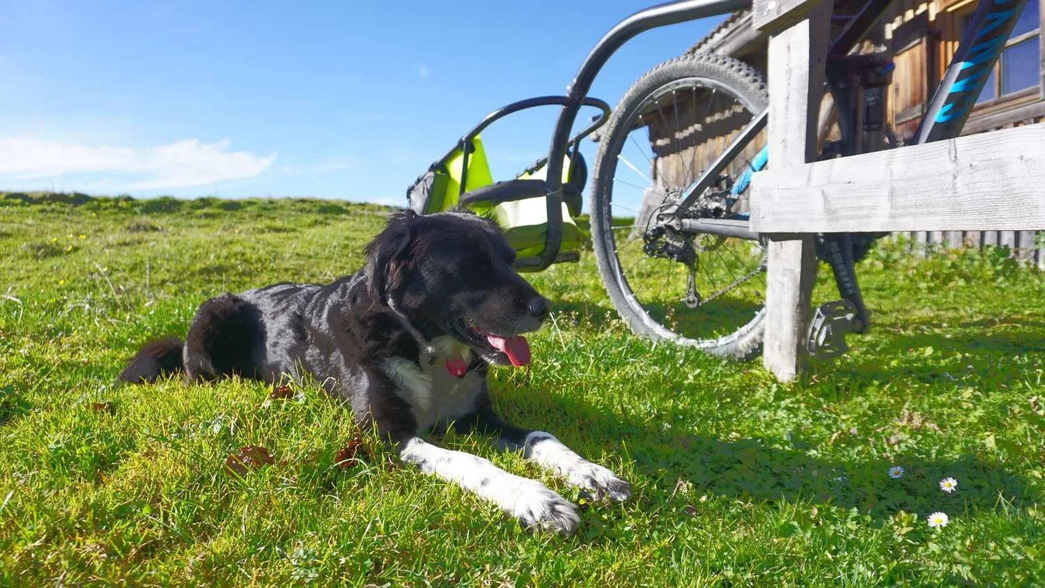 Graveltouren_zwischen_Chiemgau_Berchtesgadener_und_Salzburger_Land_mit_Hund_und_Anhnger_tour_18.jpg