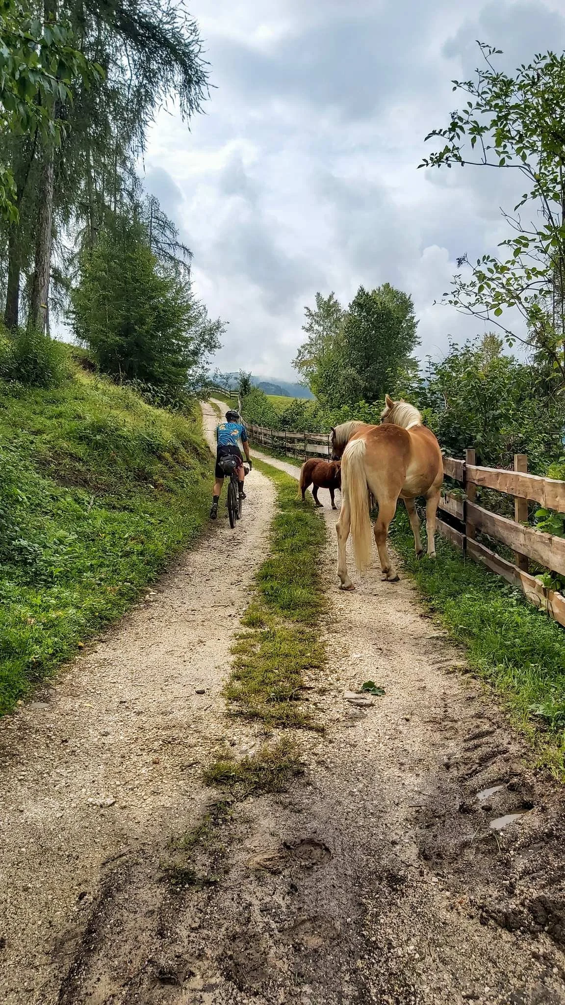 _Op_expeditie_in_de_Dolomieten_-_5_dagen_bikepacken_in_Itali_tour_12.jpg
