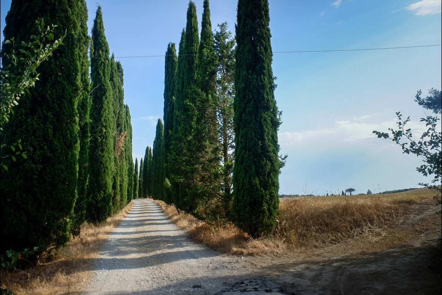 _No_Place_Like_Europe_-_From_Sicily_to_Holland_in_20_days_tour_29.jpg