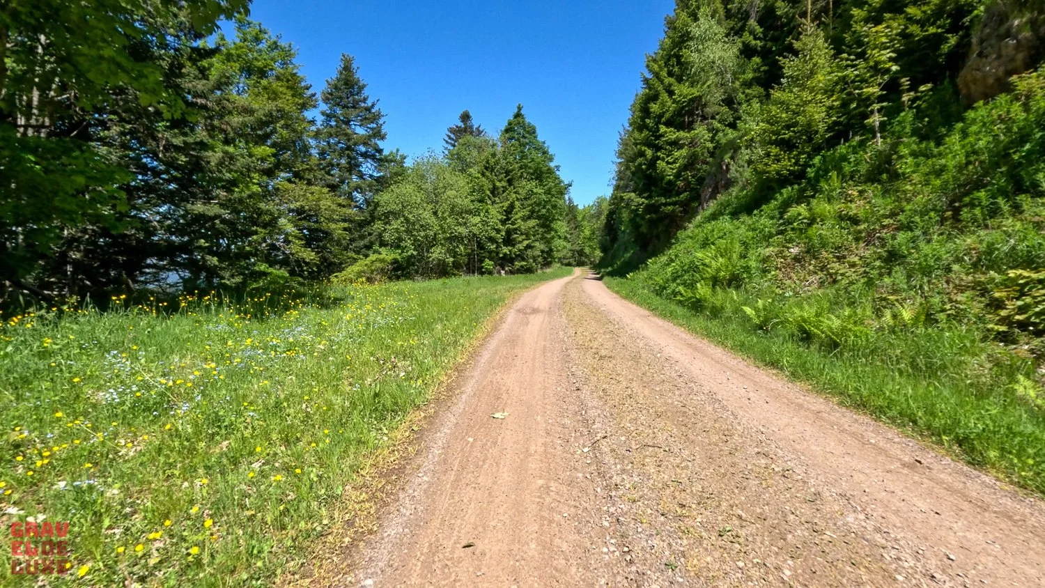 rouvy-schwarzwald-schauinsland-graveldeluxe-04.jpg