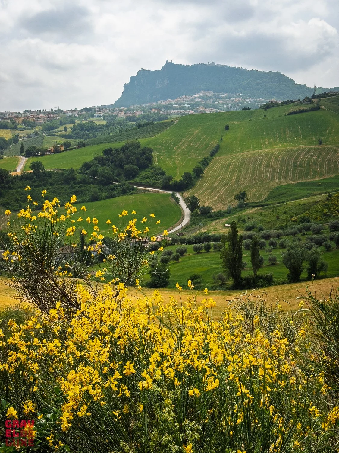 san-marino-graveldeluxe-39.jpg