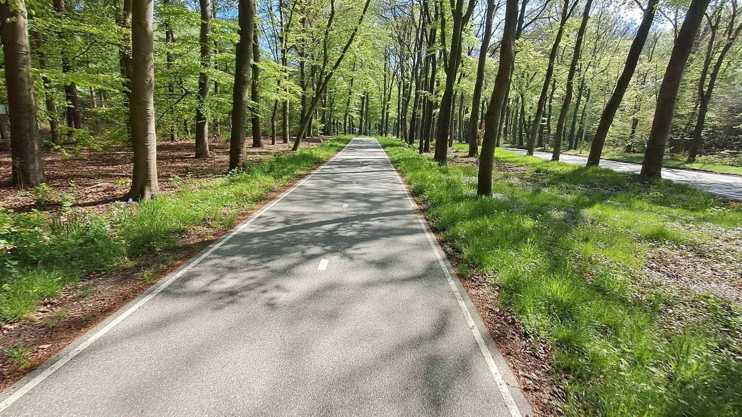 Groute_van_de_Week_Pedaleurs_podcast_author_Pedaleurs_hetiskoers_8.jpg