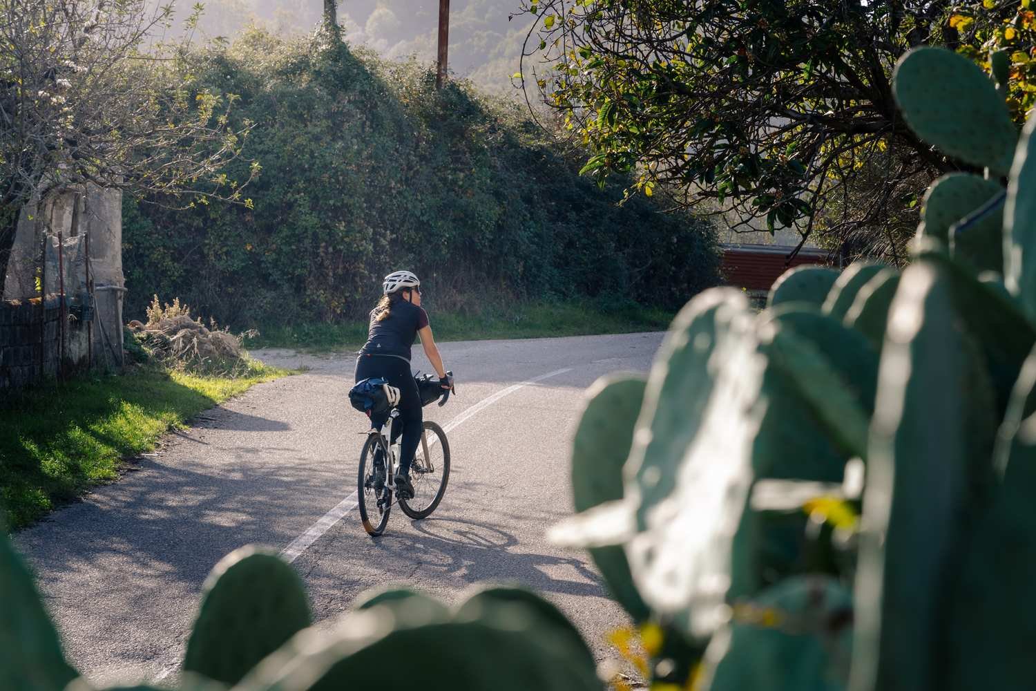 Cycle_through_the_colourful_heart_of_Italys_Calabria__Ciclovia_Parchi_other_Saddle_Stories_2601904135192_6.jpg