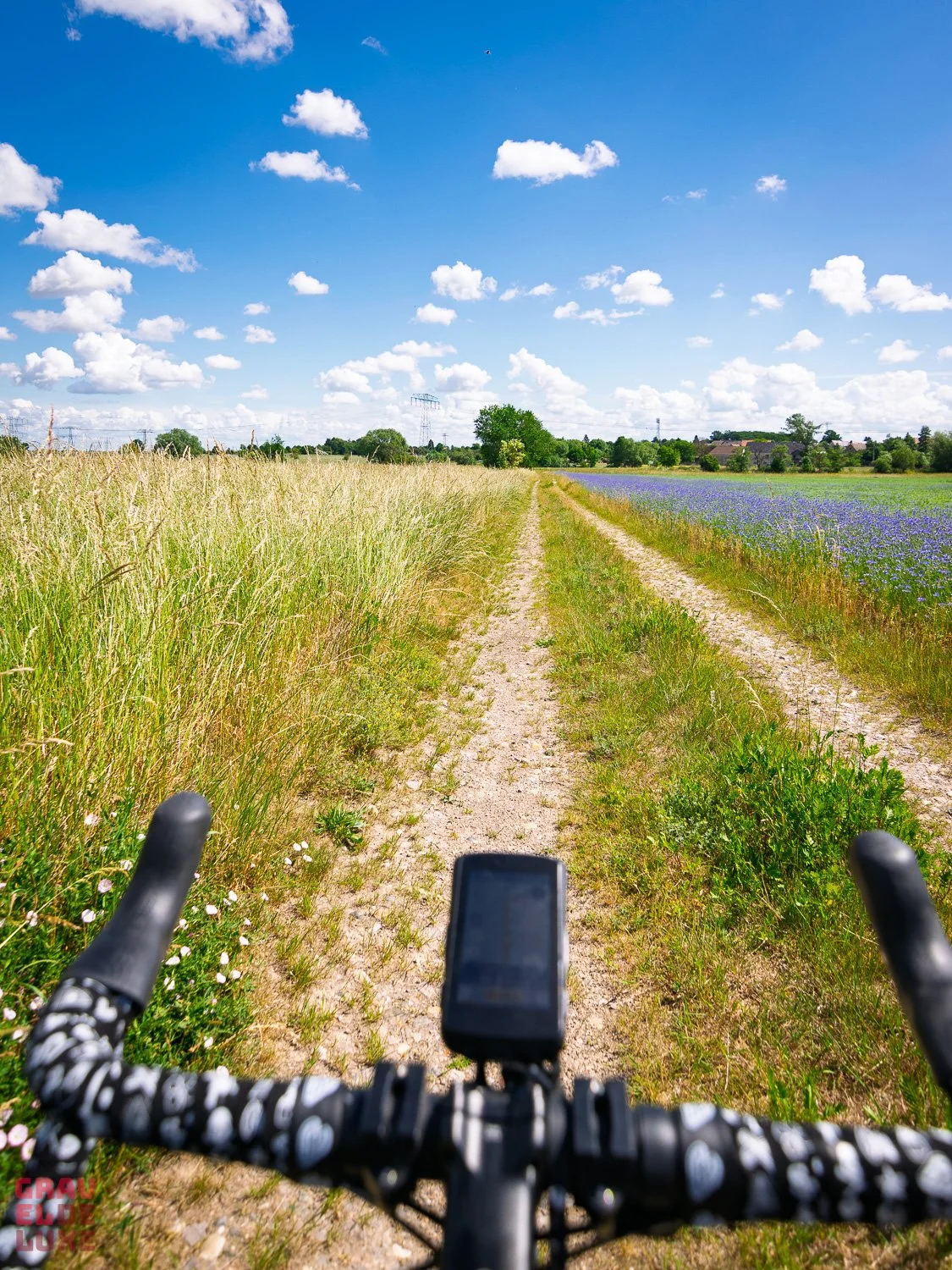 elbland-tour3-graveldeluxe-47.jpg
