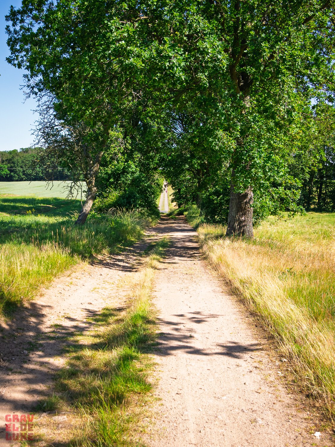 elbland-tour3-graveldeluxe-22.jpg