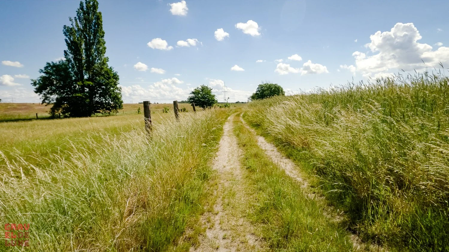elbland-tour3-graveldeluxe-39.jpg