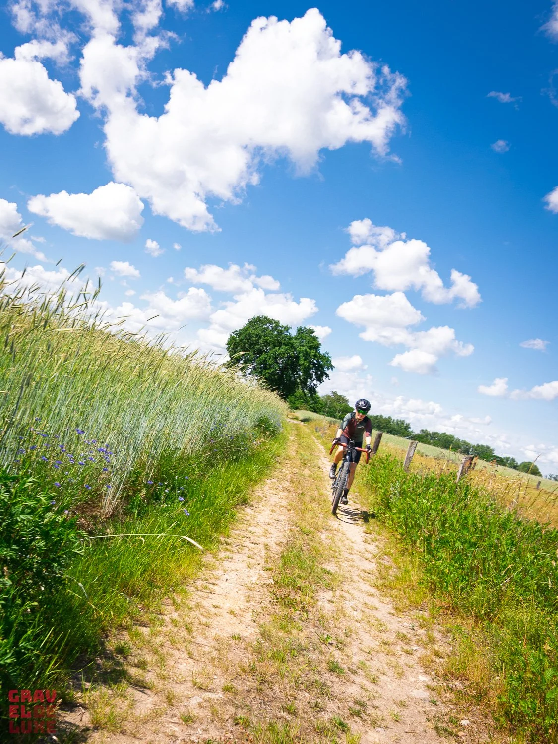 elbland-tour3-graveldeluxe-38.jpg