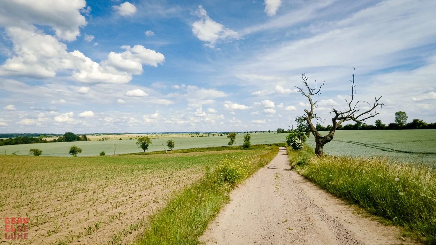 elbland-tour3-graveldeluxe-125.jpg