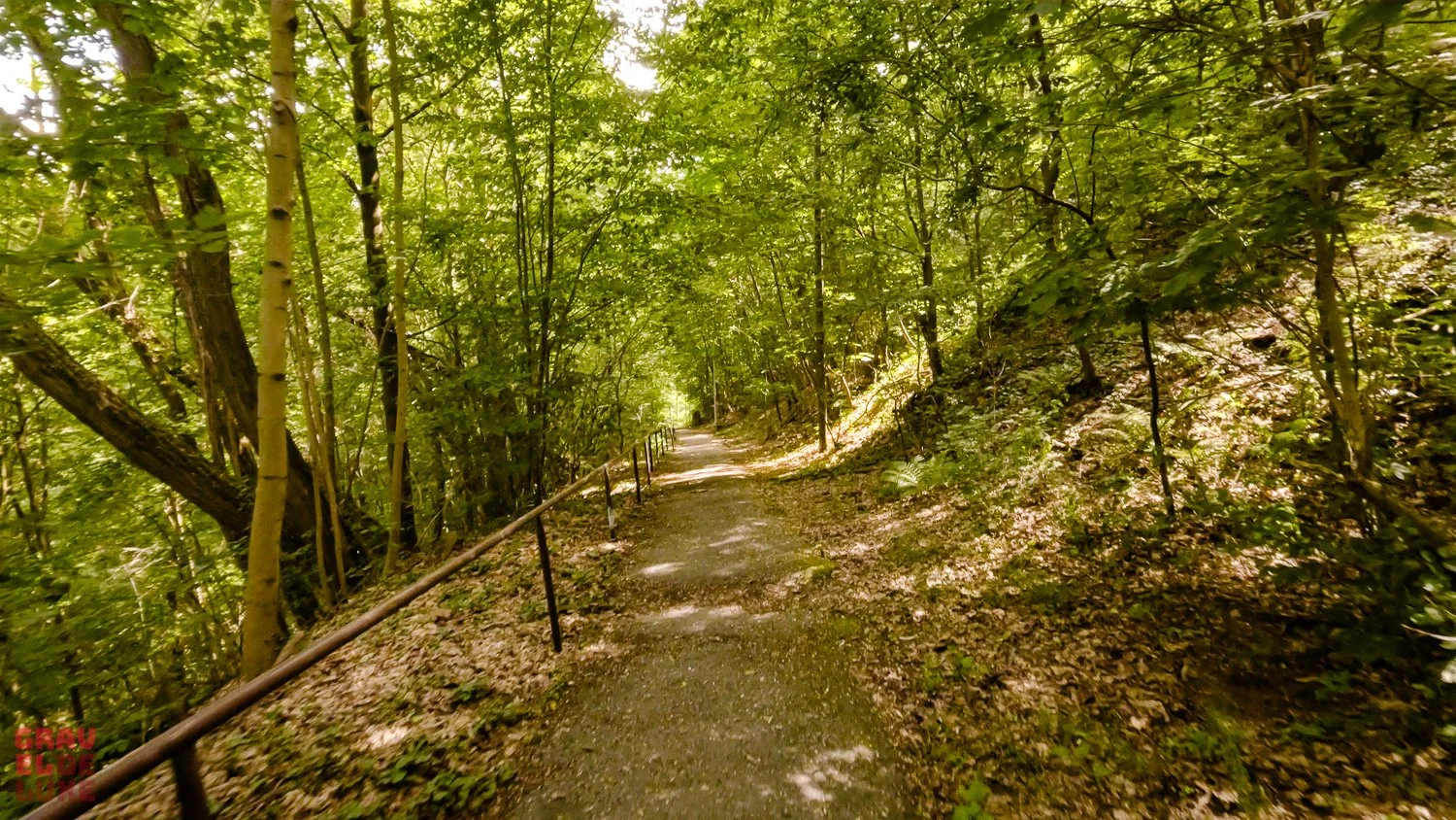 elbland-tour3-graveldeluxe-146.jpg