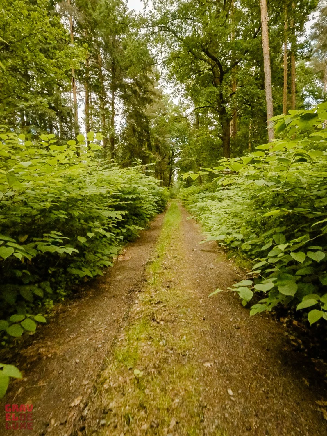 elbland-tour1-graveldeluxe-112.jpg