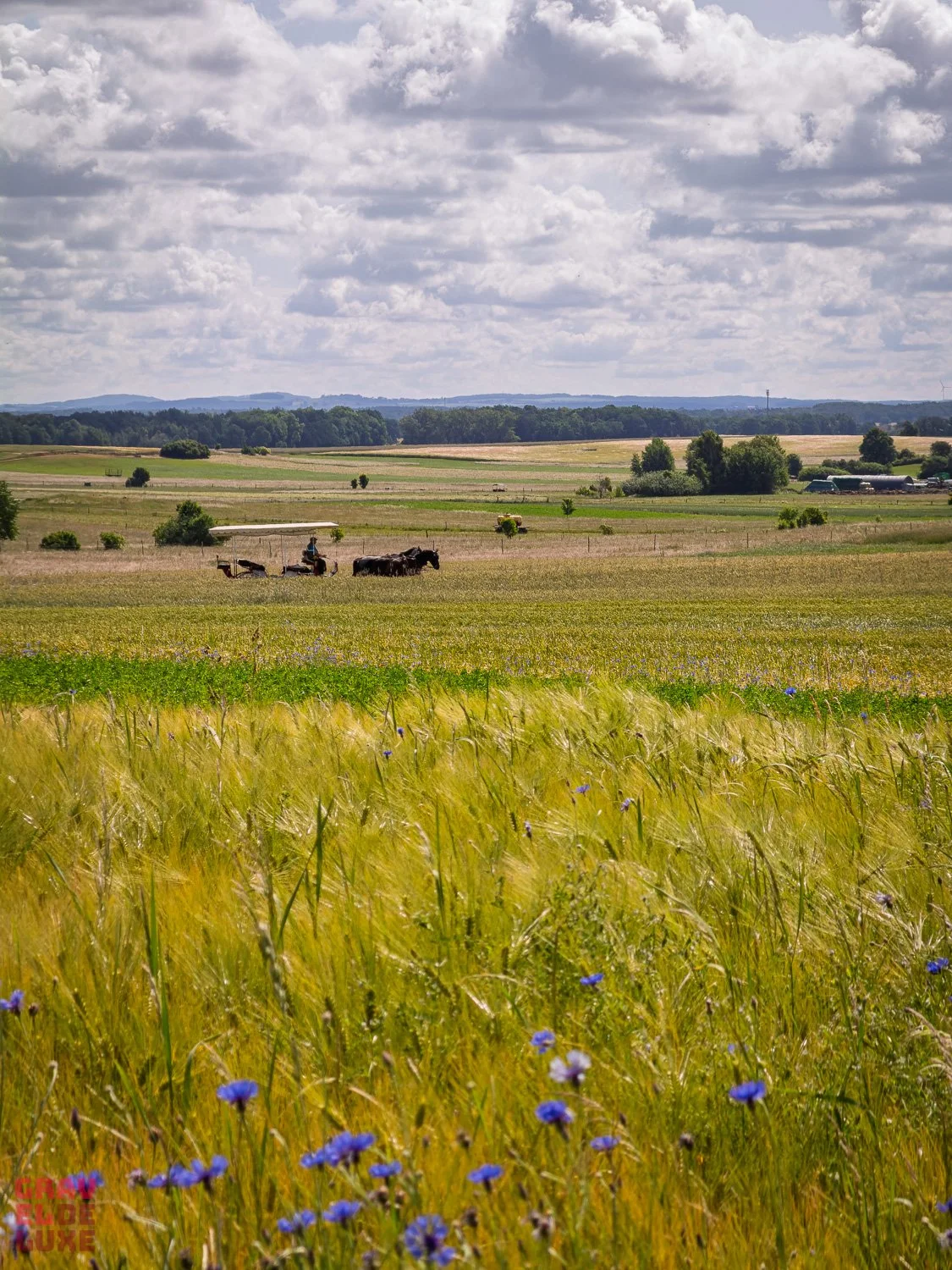 elbland-tour1-graveldeluxe-90.jpg
