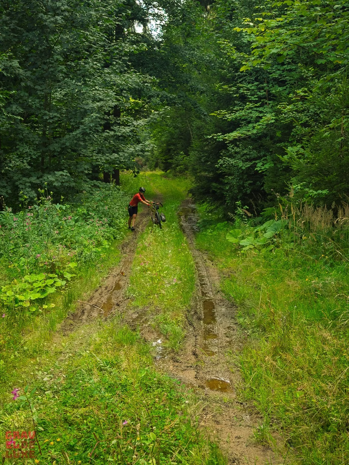 0807-erzgebirge-bikepacking-141-IMG_6216.jpg