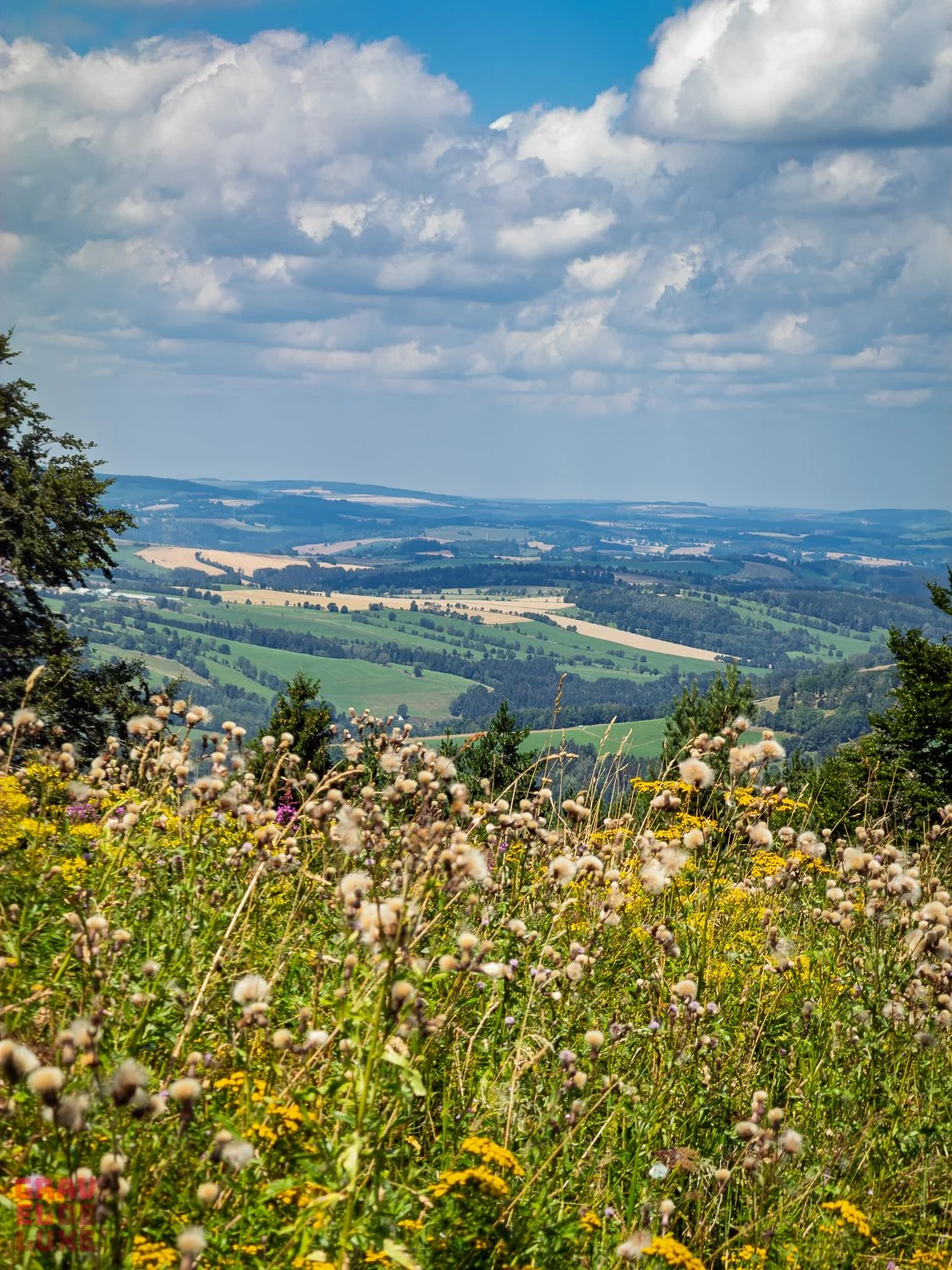 0807-erzgebirge-bikepacking-087-IMG_6144.jpg