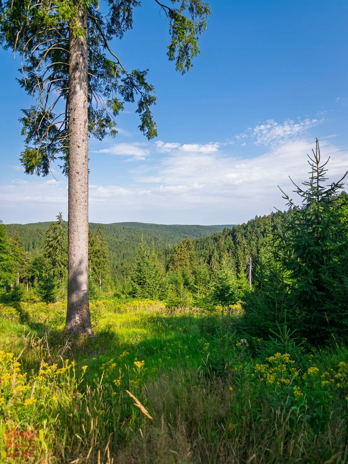 0805-erzgebirge-bikepacking-007-_DSC3735.jpg