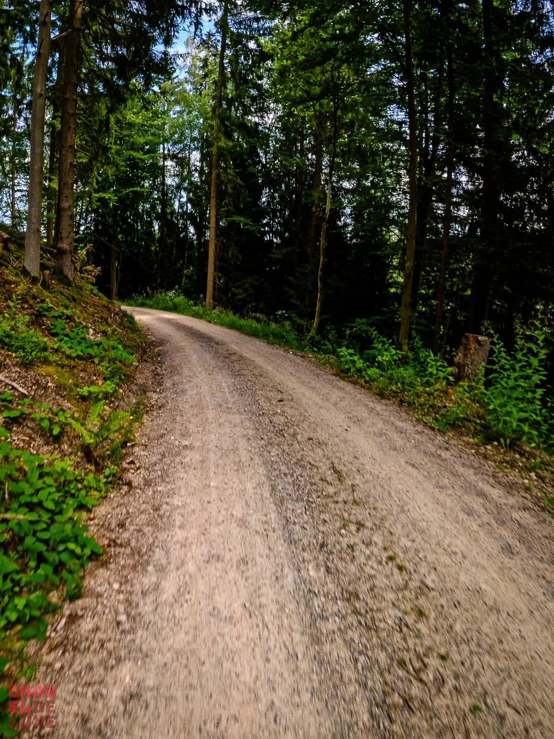 0805-erzgebirge-bikepacking-012-GX011382_erz01_2026-08-05_10-02-32.jpg