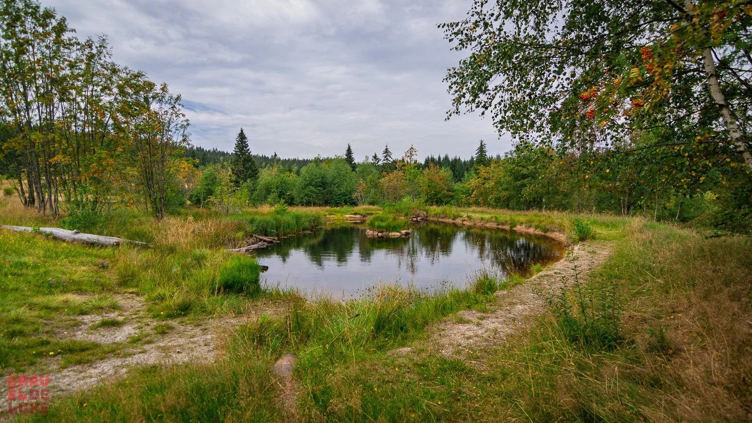 0805-erzgebirge-bikepacking-075-_DSC3824.jpg