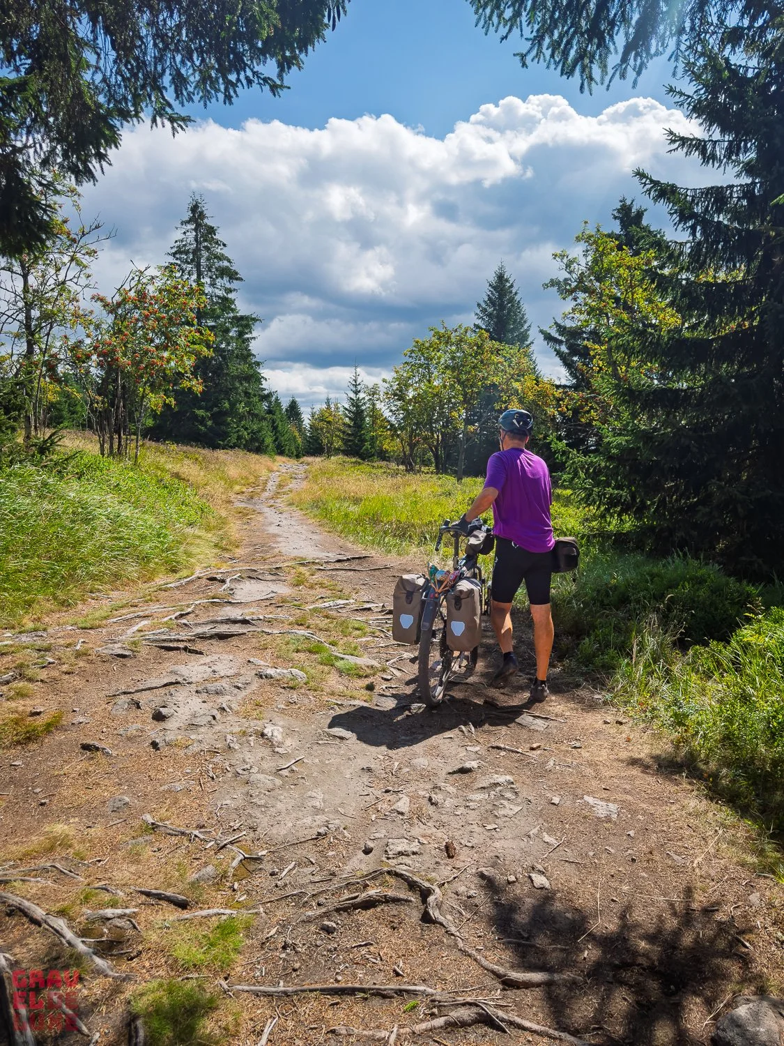 0806-erzgebirge-bikepacking-053-IMG_1396.jpg