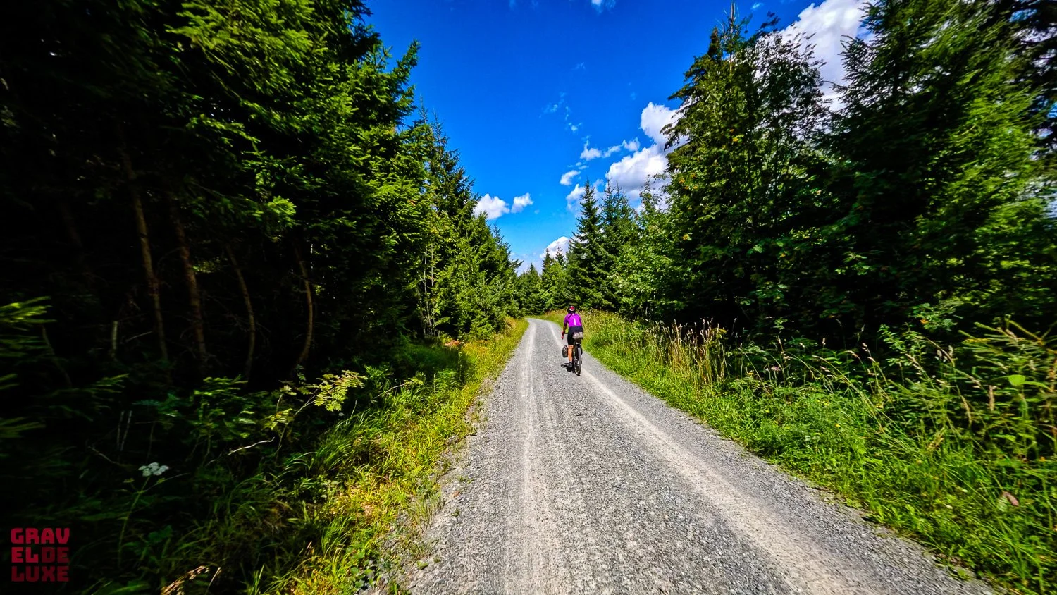 0806-erzgebirge-bikepacking-068-GX011509_erz02_2026-08-06_11-32-57.jpg