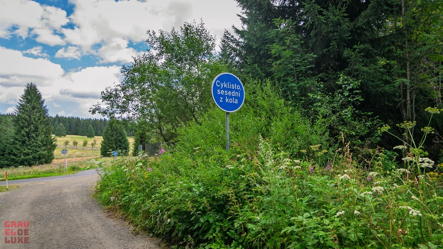 0806-erzgebirge-bikepacking-072-_DSC3911.jpg