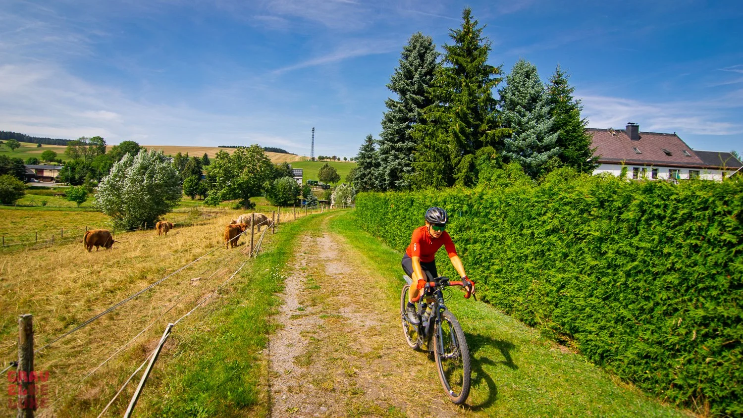 0809-blockline-loop2-097-_DSC4483.jpg
