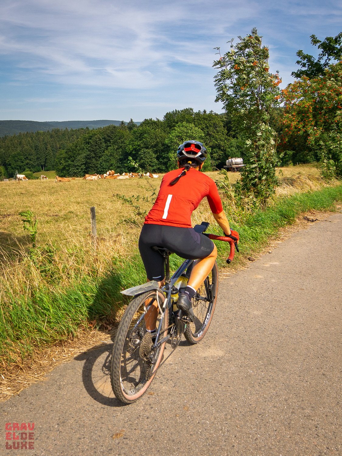 0809-blockline-loop2-130-_DSC4508.jpg