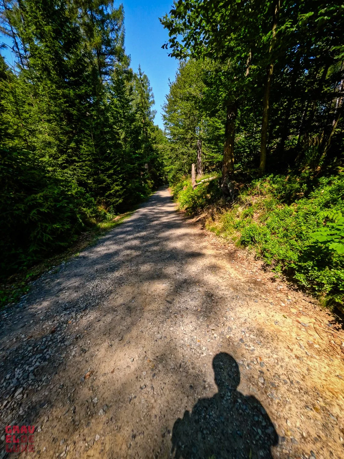 0730-rockhead-gelbe-046-GX010525_gelbe_2026-07-30_11-11-14.jpg