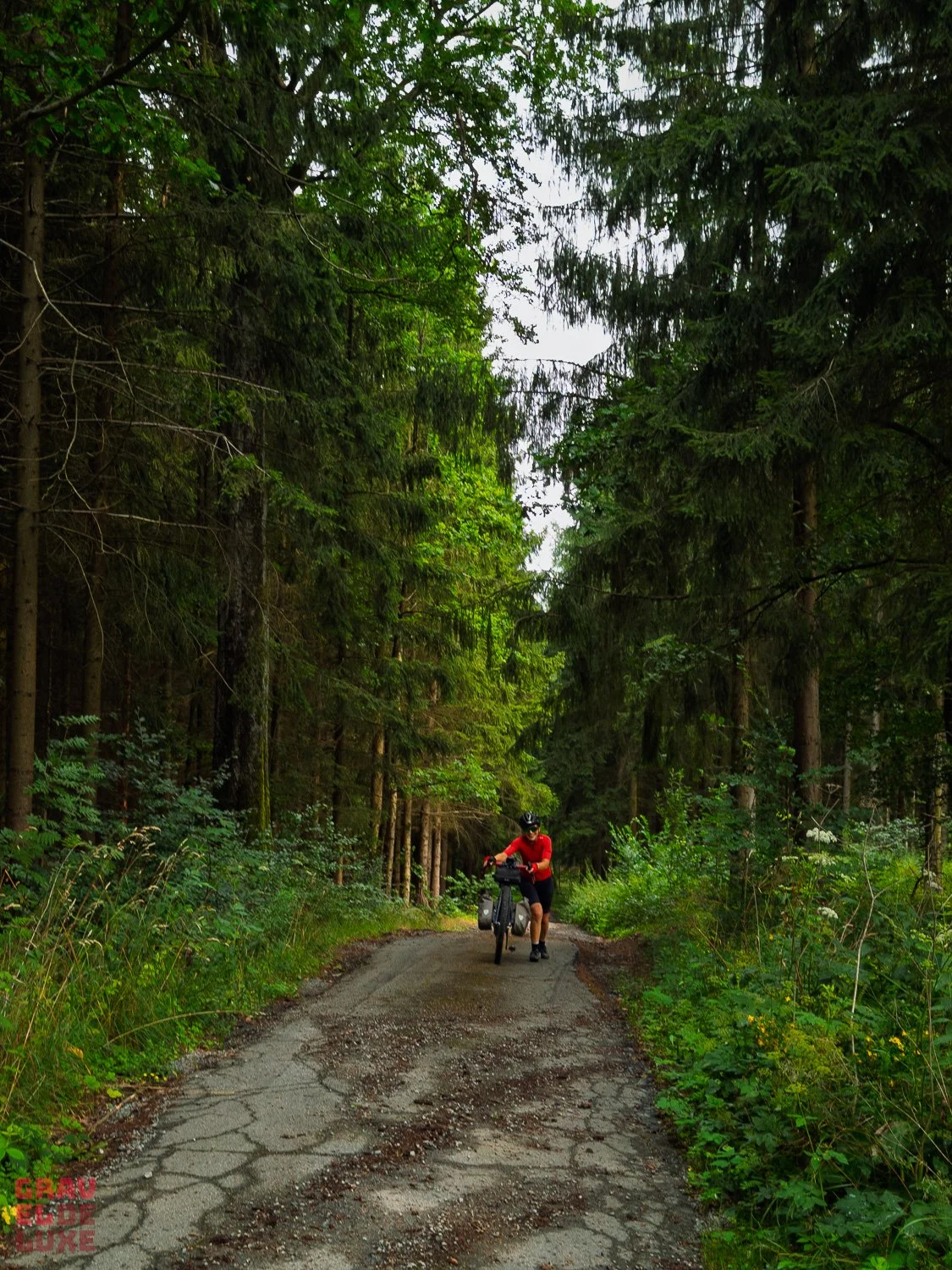 rockhead-rot-schwarz-graveldeluxe-39.jpg