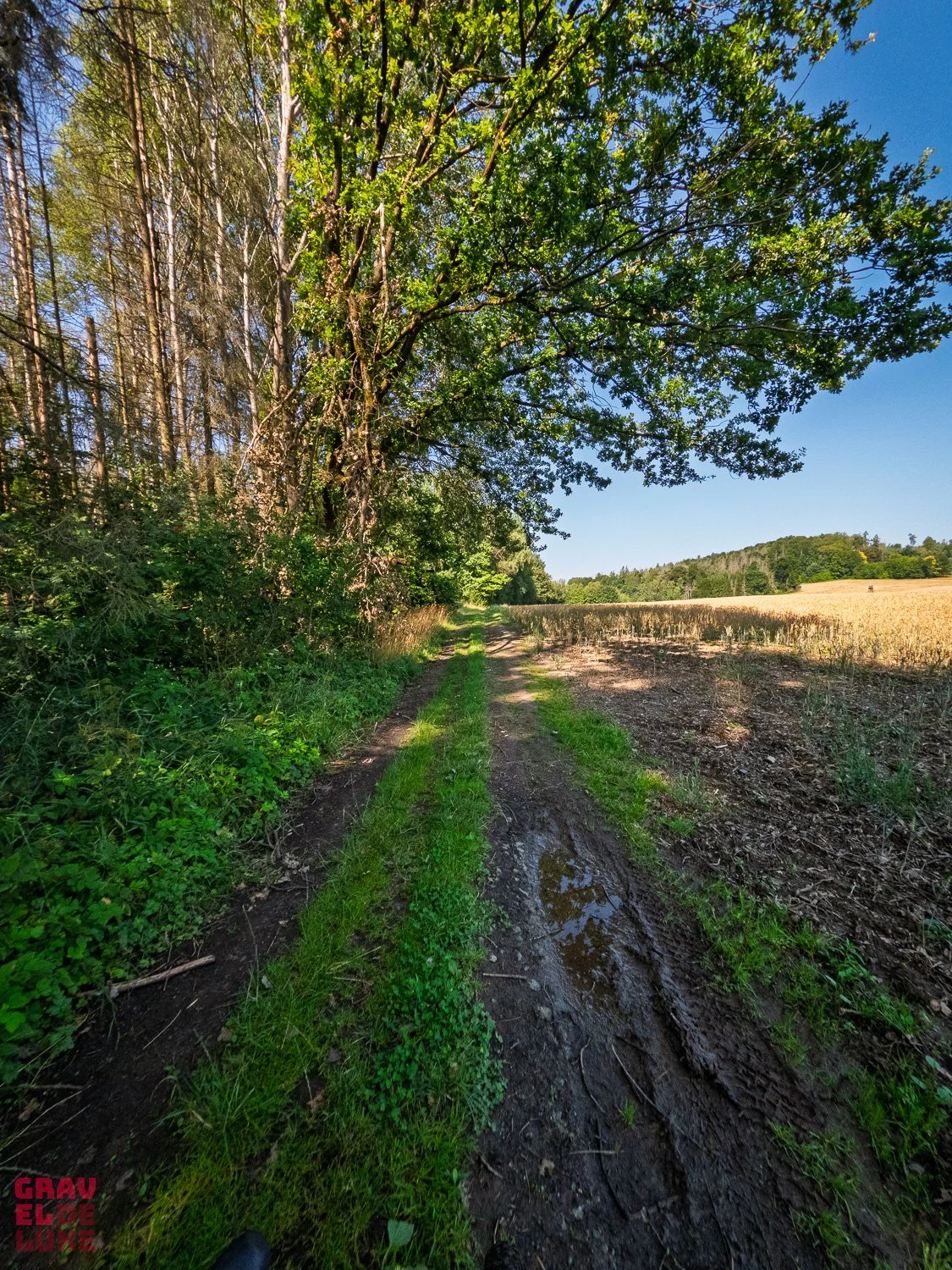 0803-rockhead-blau-lila-031-GPBY1066.jpg