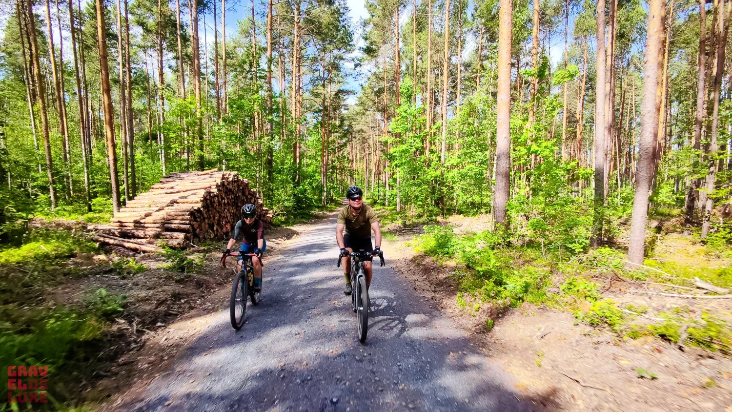 Mehr Wald, mehr Flow: Graveln im Dresden Elbland