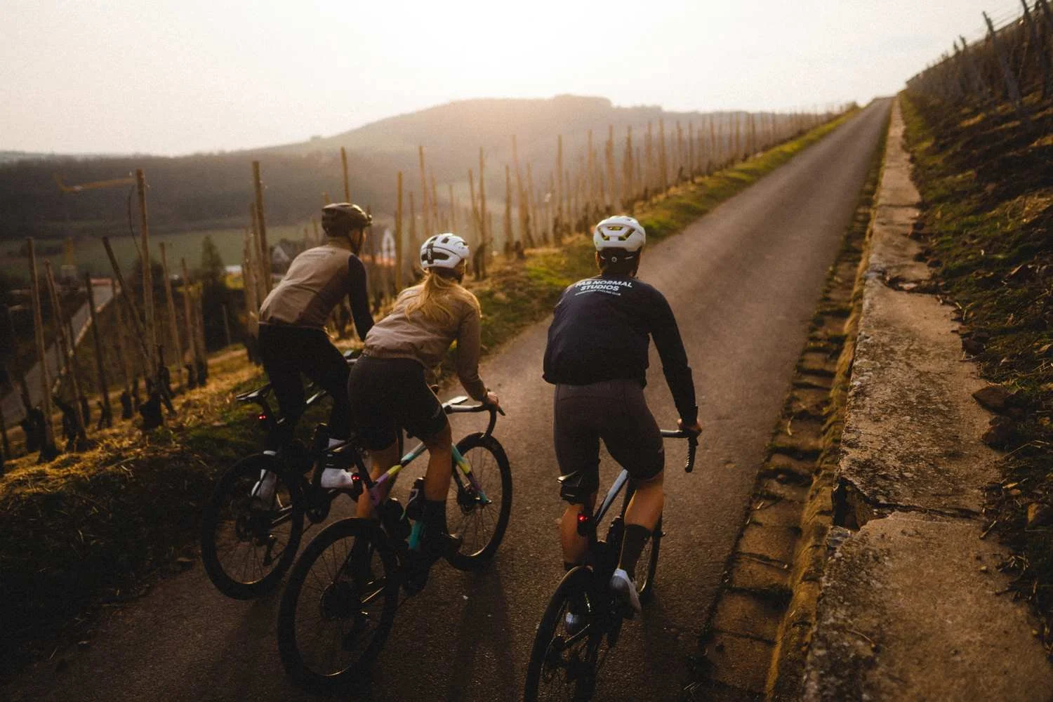 24x Rhein-Main Region Graveln - Right Ride: GUde