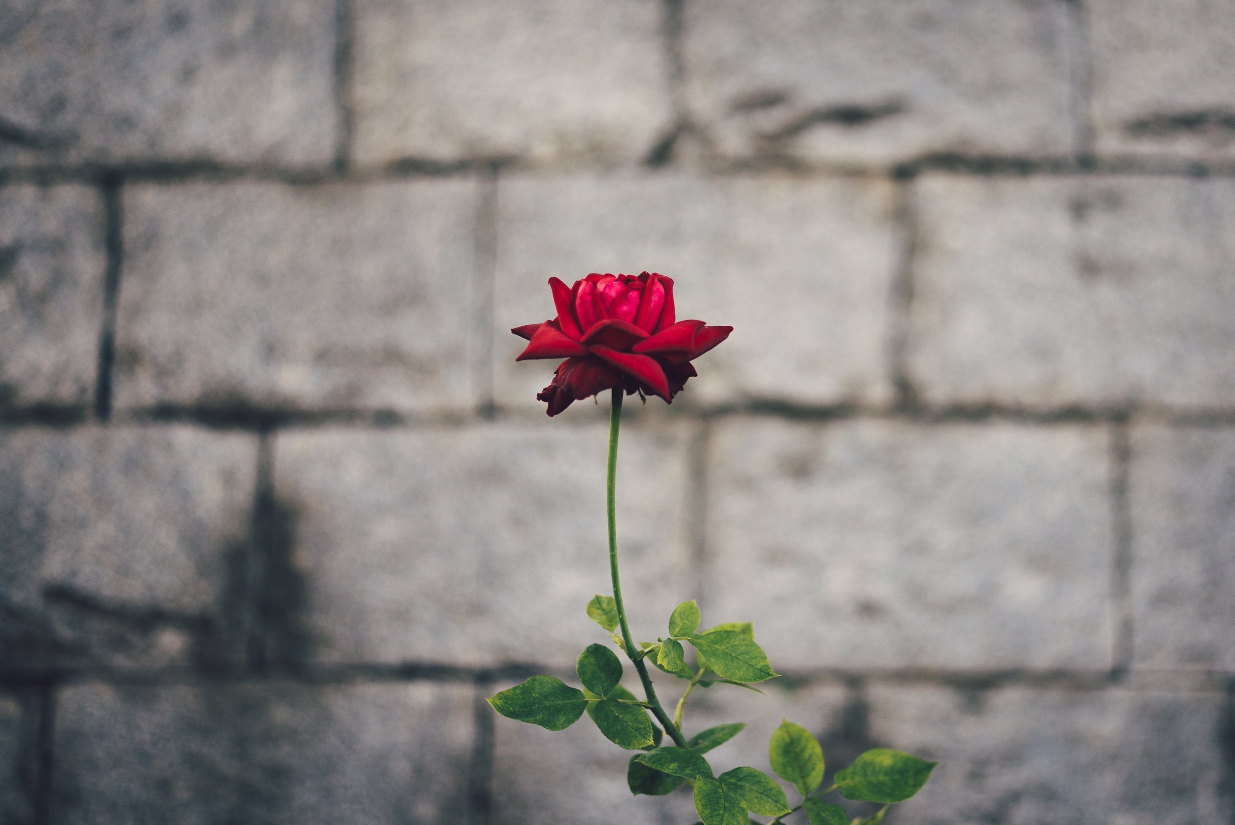Dissatisfied with how things are going but too drained to fight it? Three poems to reawaken your spirit