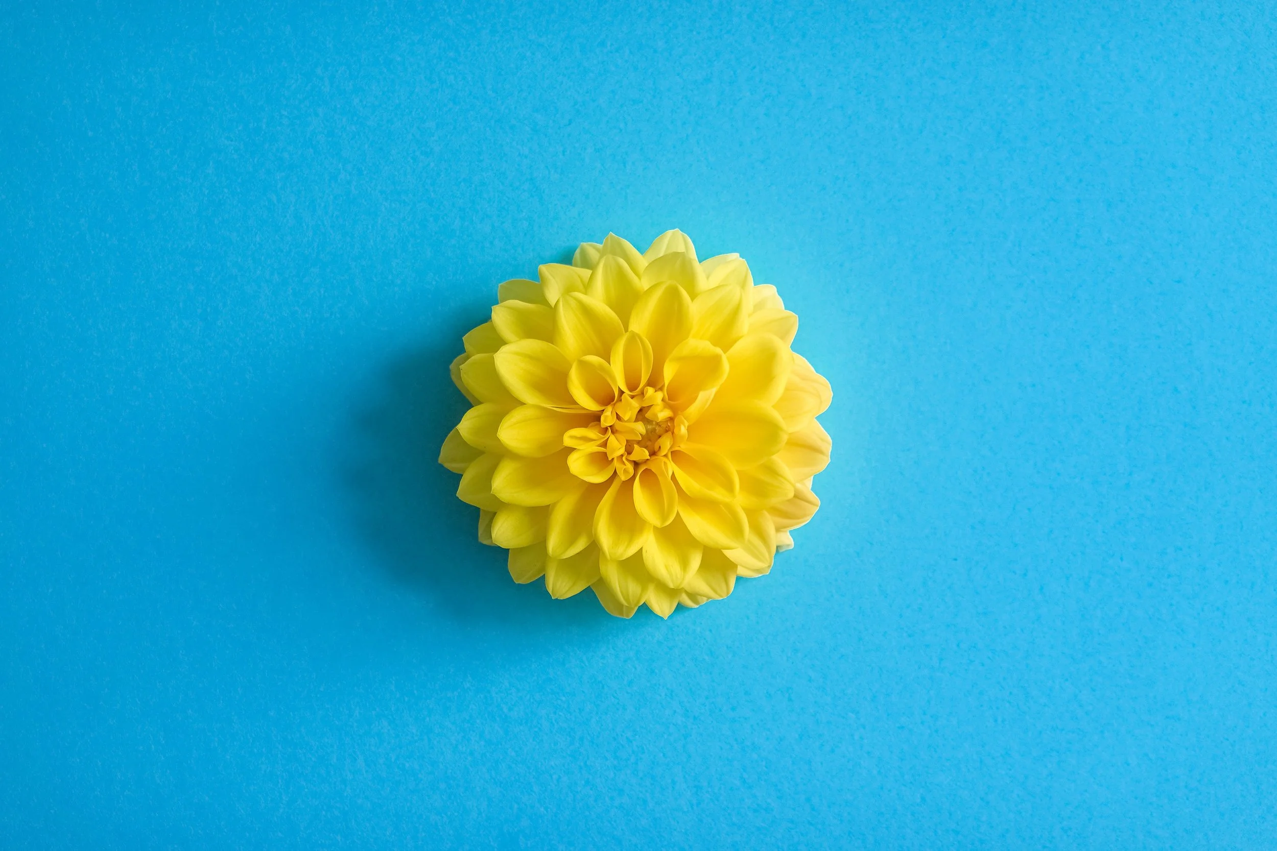 Two ‘easy’ rules can help eliminate work overload - and they don’t include saying “No!”&nbsp;