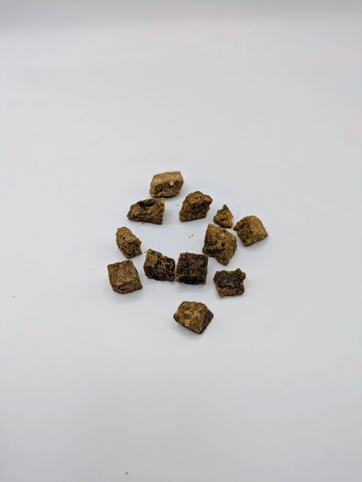 entrenadores de cabra.jpg