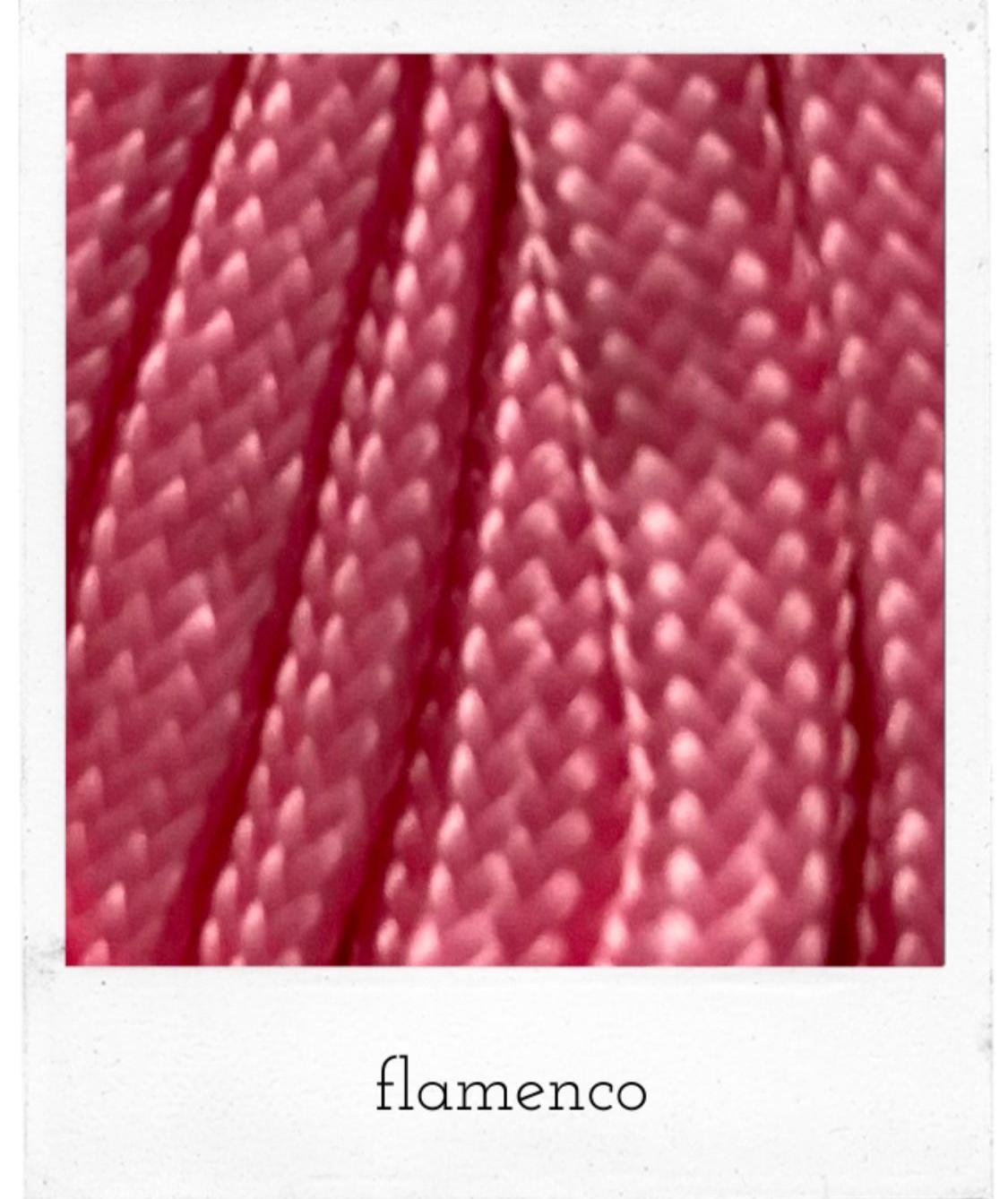 flamenco.jpeg
