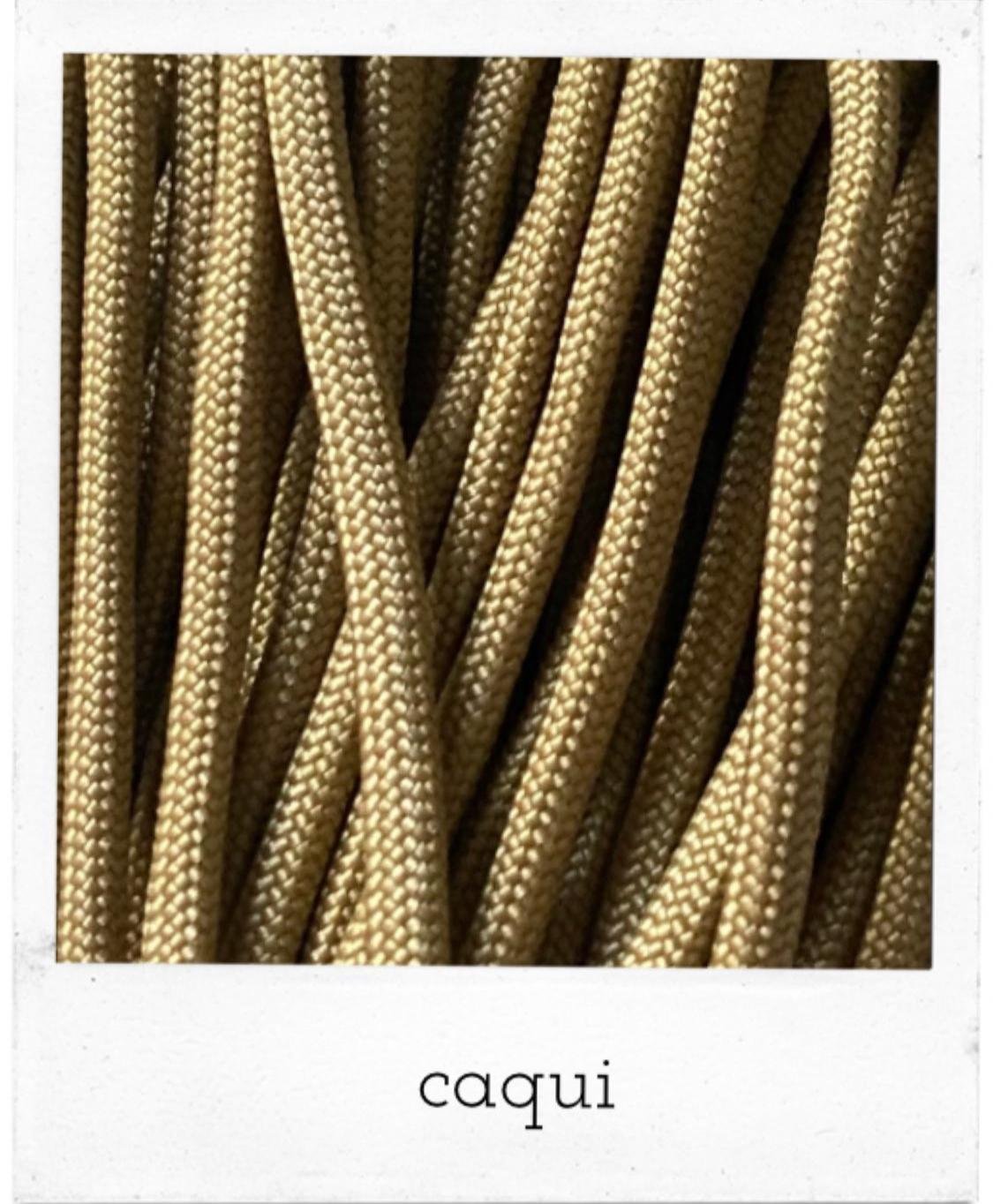 caqui.jpeg