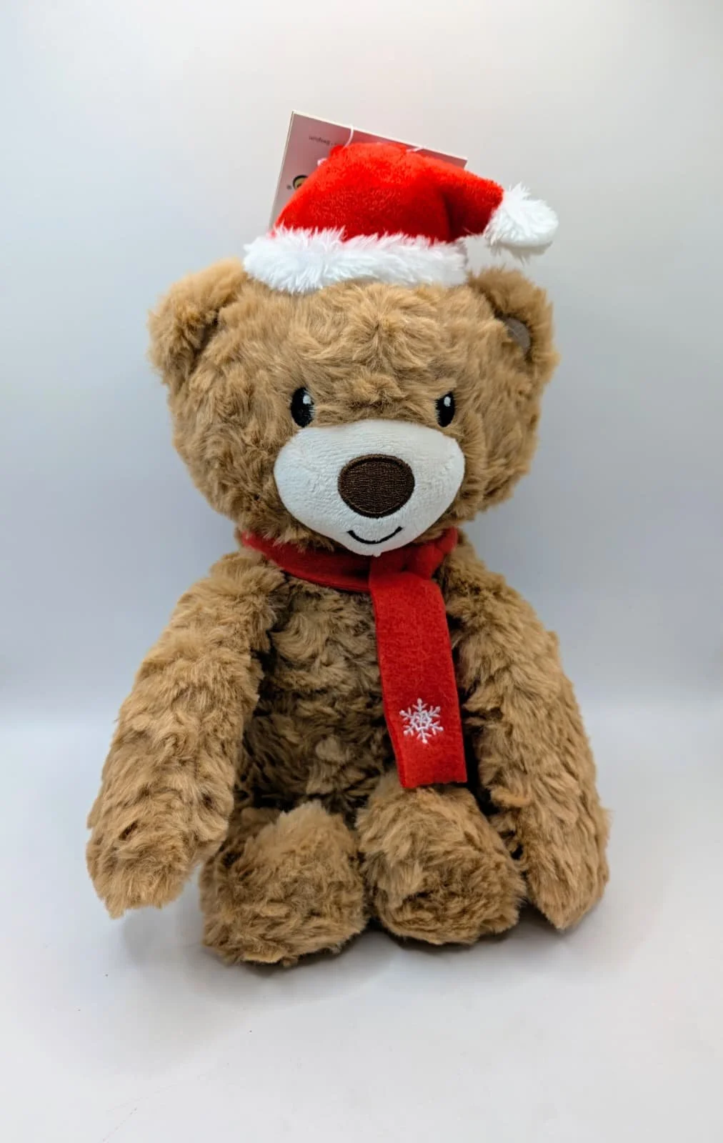 peluche teddy.jpg