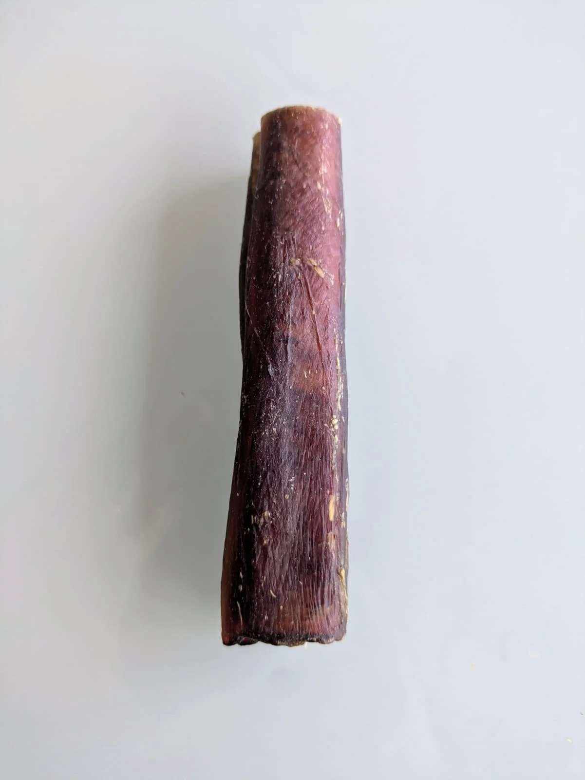 nervio de toro XL 1.jpg