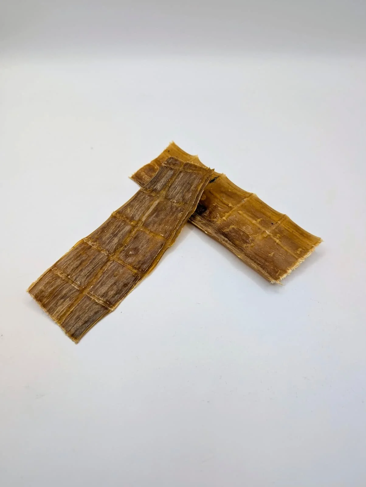 chip vejiga.jpg