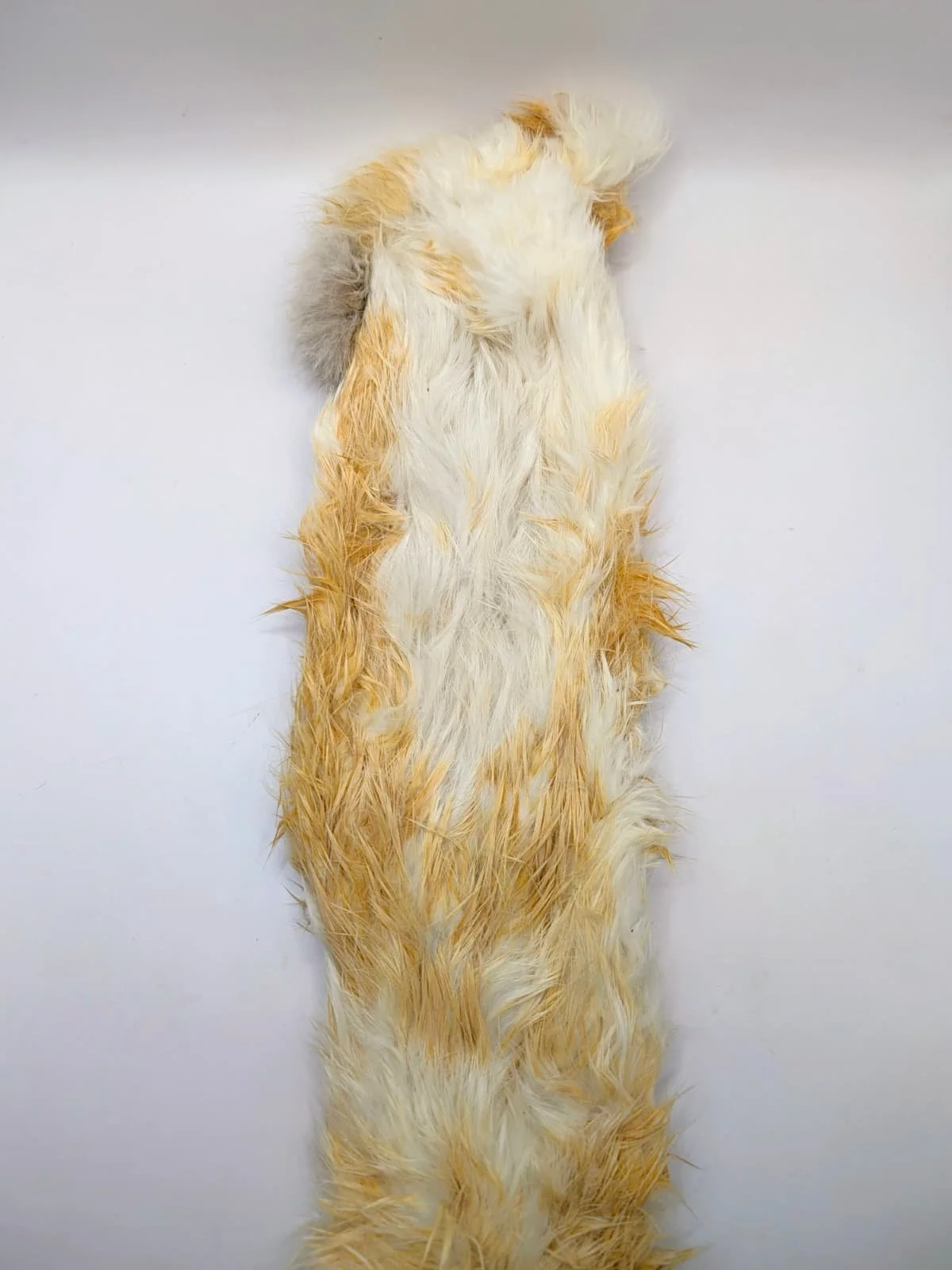 piel conejo XXXL.jpg