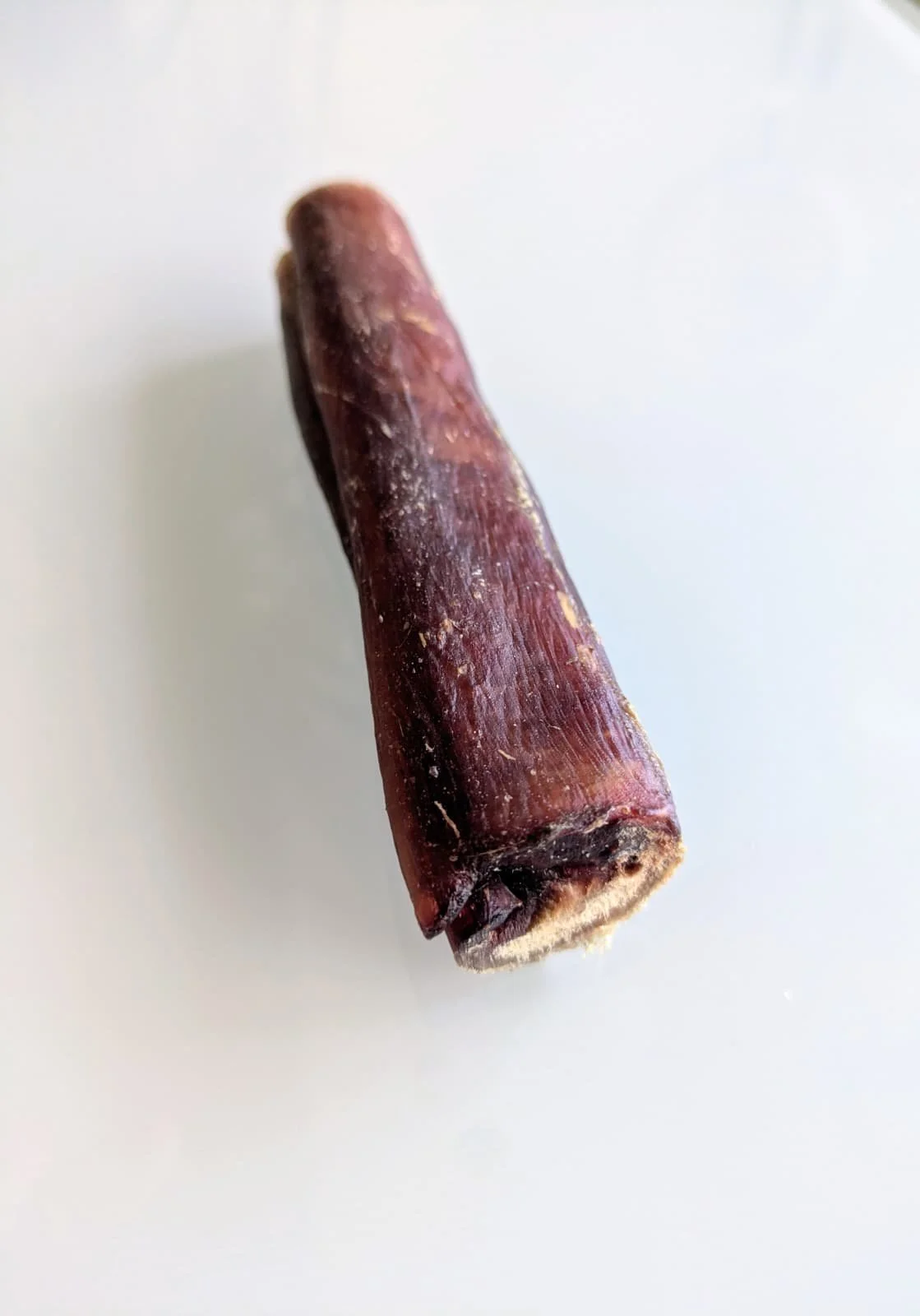nervio de toro XL.jpg