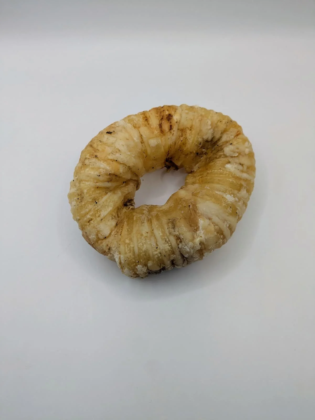 donut tráquea.jpg