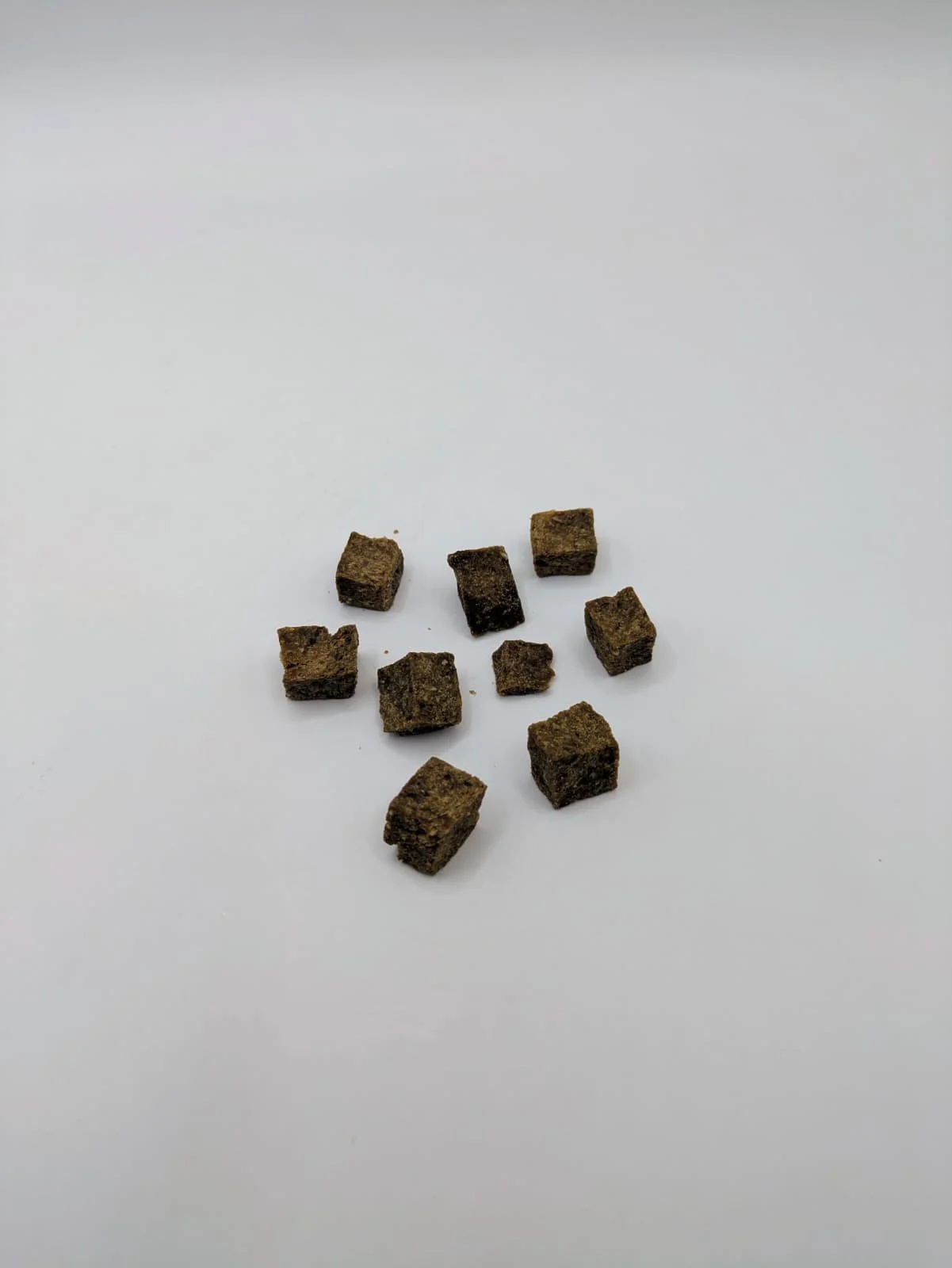 entrenadores de cordero.jpg