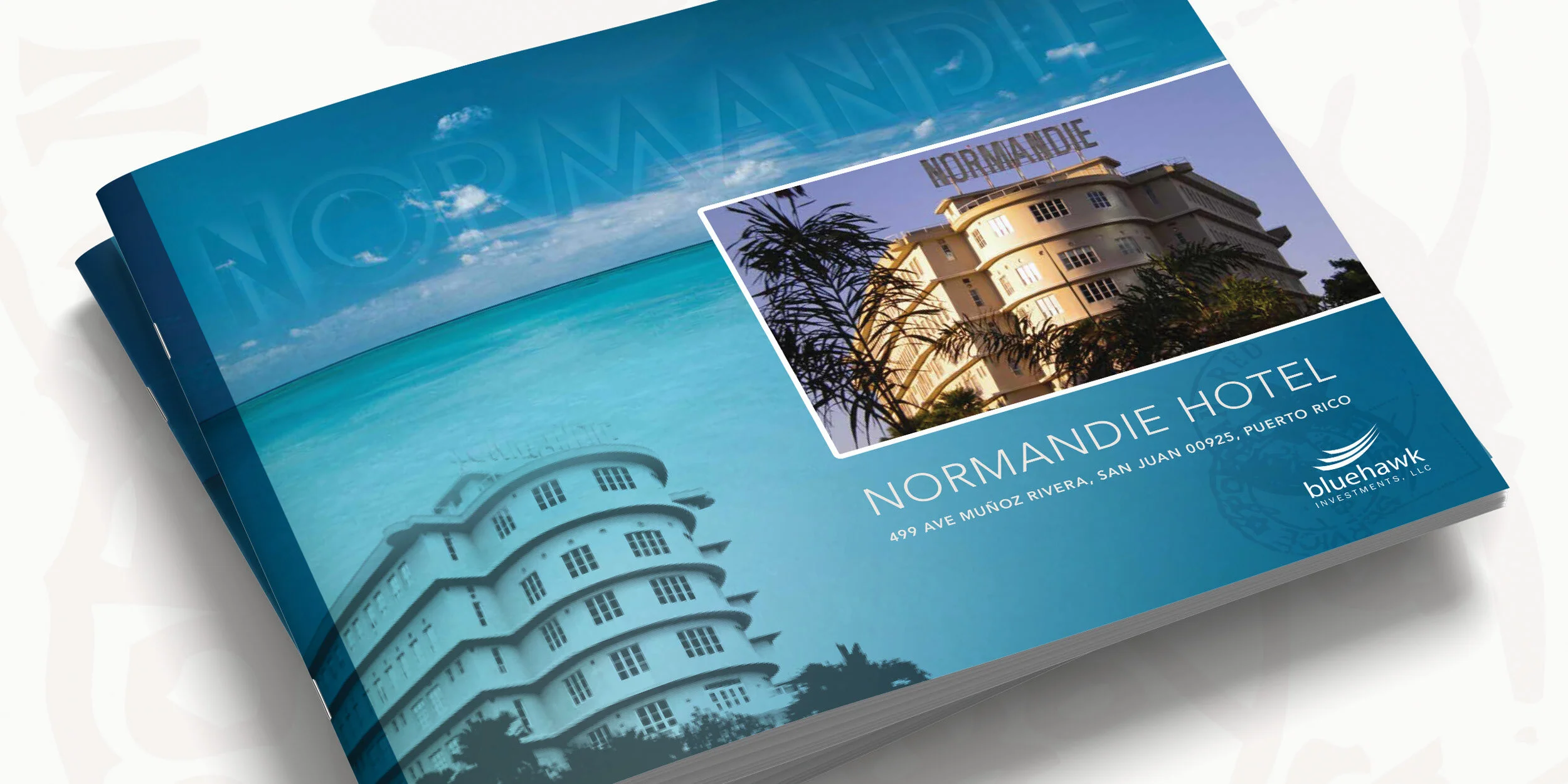 bluehawk-normandie_1.jpg
