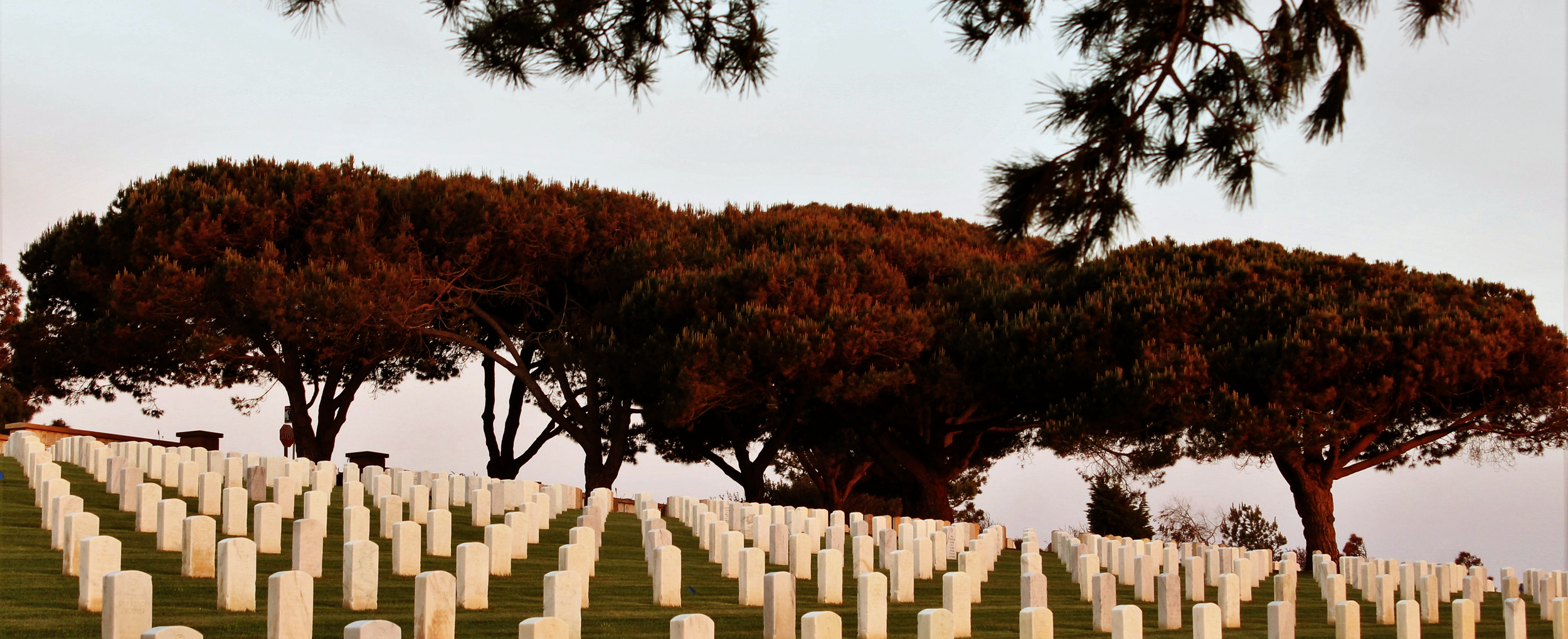 veteran & military service