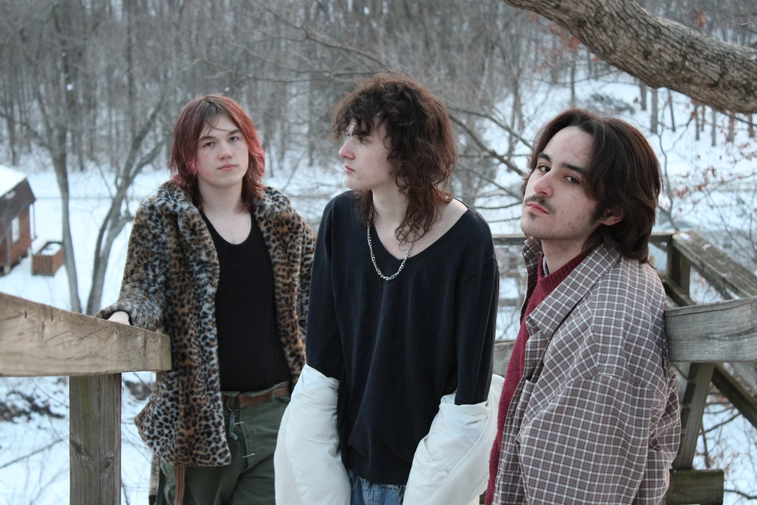 TERANTULA — ‘JOLLY CHIMP’ OUT NOW