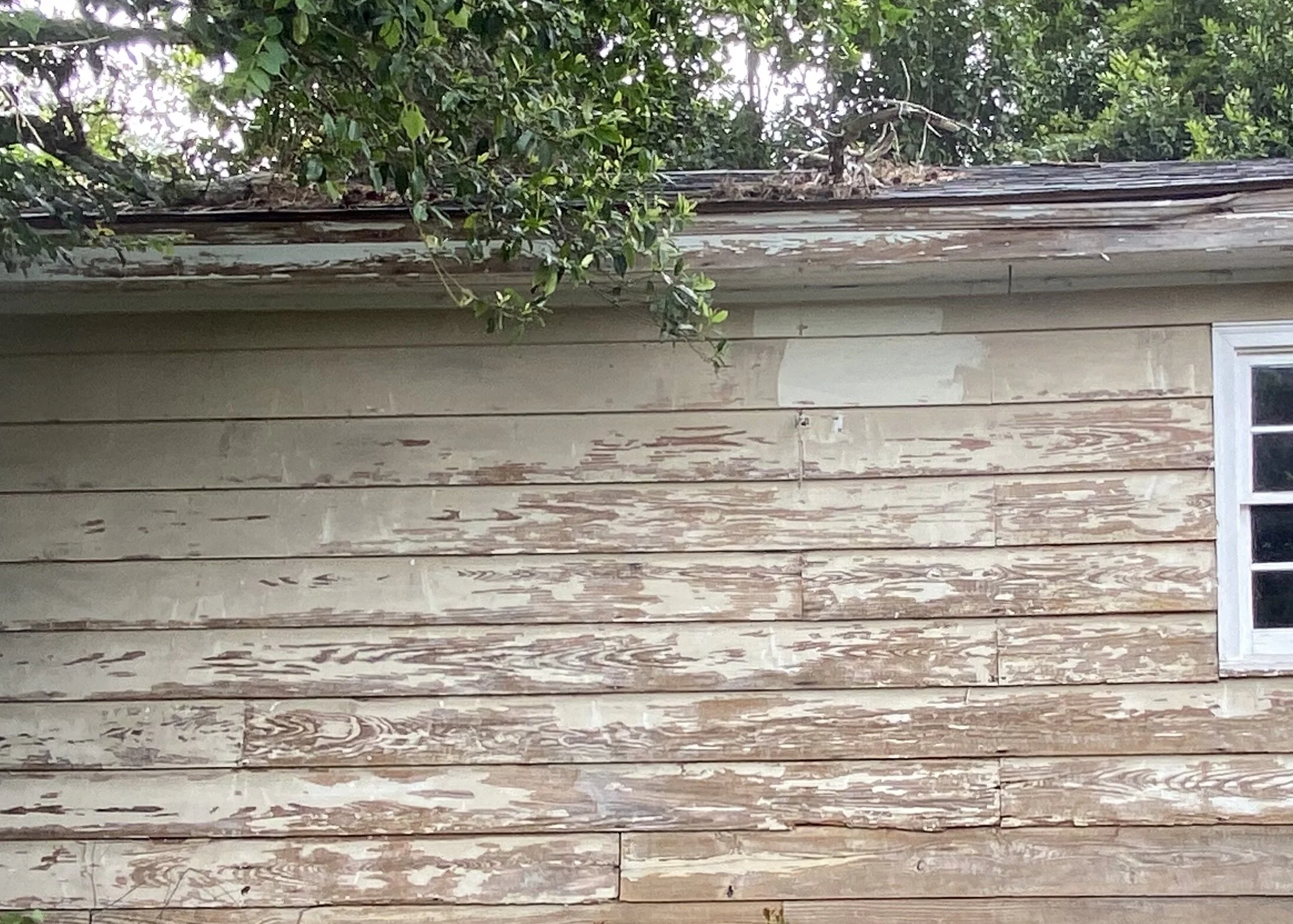 Problem/Solution: Fading Exterior Paint
