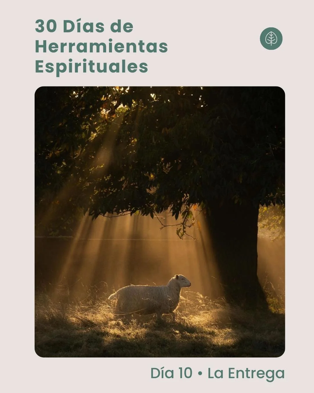 D&iacute;a 10 &bull; La Entrega

La entrega no es rendirse ni dejar de intentarlo.

Es confiar en lo que no podemos cargar solos.

Hoy te invitamos a soltar aquello que has estado sosteniendo con esfuerzo:

una preocupaci&oacute;n,
un miedo,
una situ