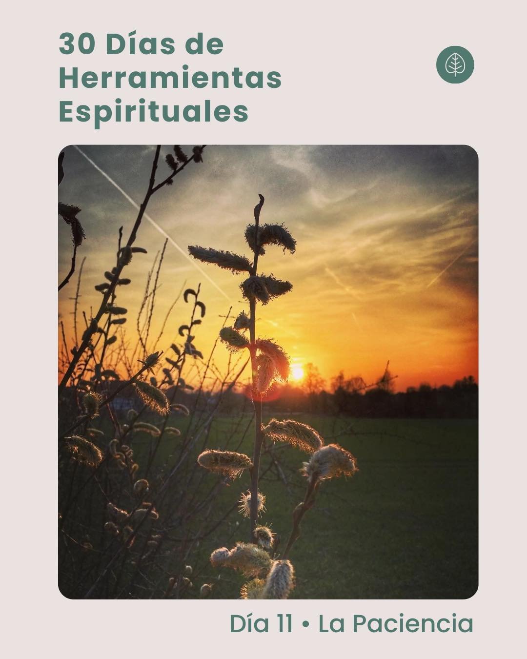 D&iacute;a 11 &bull; La Paciencia

La paciencia no es esperar con resignaci&oacute;n. 
Es permanecer con confianza mientras la vida se acomoda.

Hoy te invitamos a reconocer los procesos que a&uacute;n no se completan: un camino, una respuesta, un ti