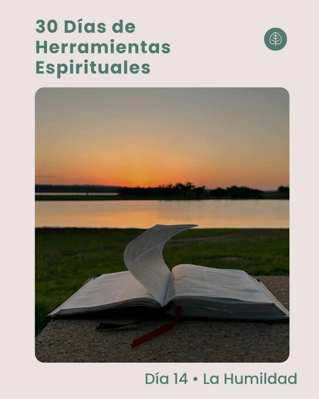 D&iacute;a 14 &bull; La Humildad 

La humildad no es pensar menos de ti.

Es dejar de ponerte en el centro. 

Hoy te invitamos a reconocer los lugares donde necesitas aprender: una relaci&oacute;n, una palabra, una situaci&oacute;n que te supera. 

N